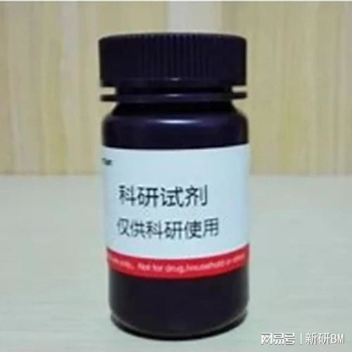 Biotin-PEG10000-NH₂ 含有生物素和氨基的线性异双功能PEG在非临床诊断用生物试剂研发中的应用